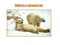 Презентация по биологии на темуЗабота о потомстве (9 класс)