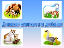 Презентация по познавательному развитию Домашние животные и их детёныши