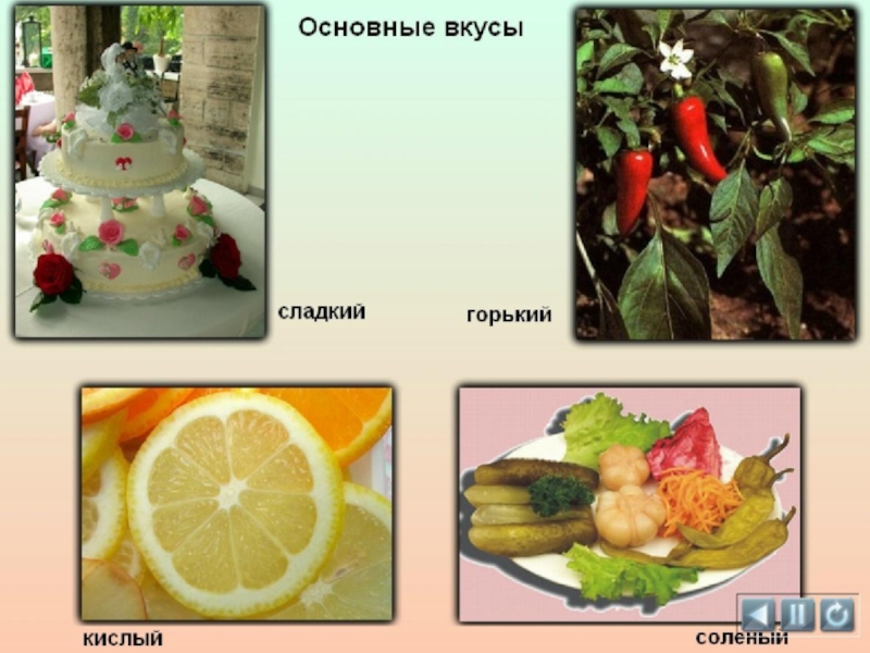 Сладкий вкус продуктов. Кислое сладкое композиция. Кислая композиция. Соленое и сладкое окружающий мир. Вкусовые ассоциации сладкое.