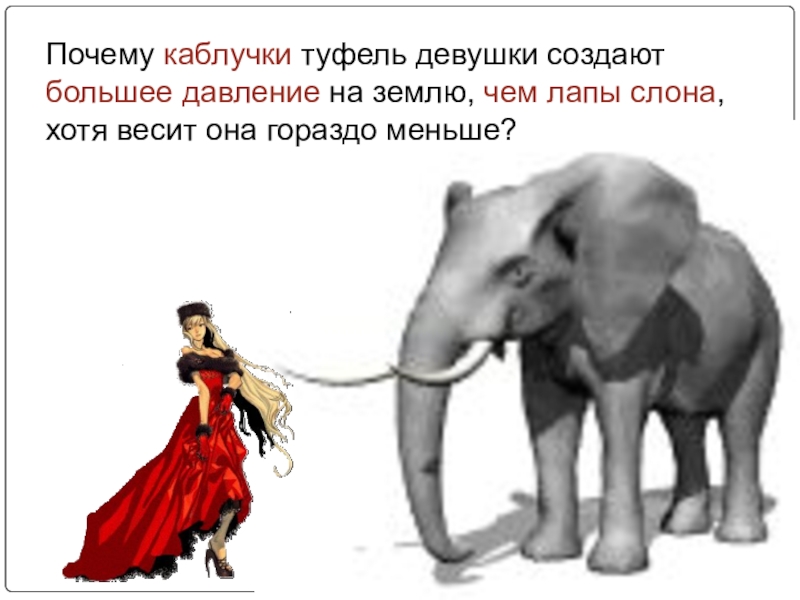Как изменится давление которое оказывает слон. Давление шпильки каблука и слона. Слон на каблуках. Давление каблука шпильки на поверхность. Давление женщины на каблуках и слона на землю.