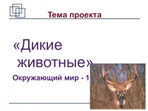 Проект Красная книга. Дикие животные