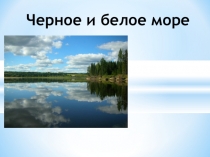 Презентация по биологии на тему Белое и черное море (5 класс)
