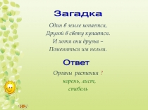 Презентация по биологии на тему Организм растения - единое целое (6 класс)