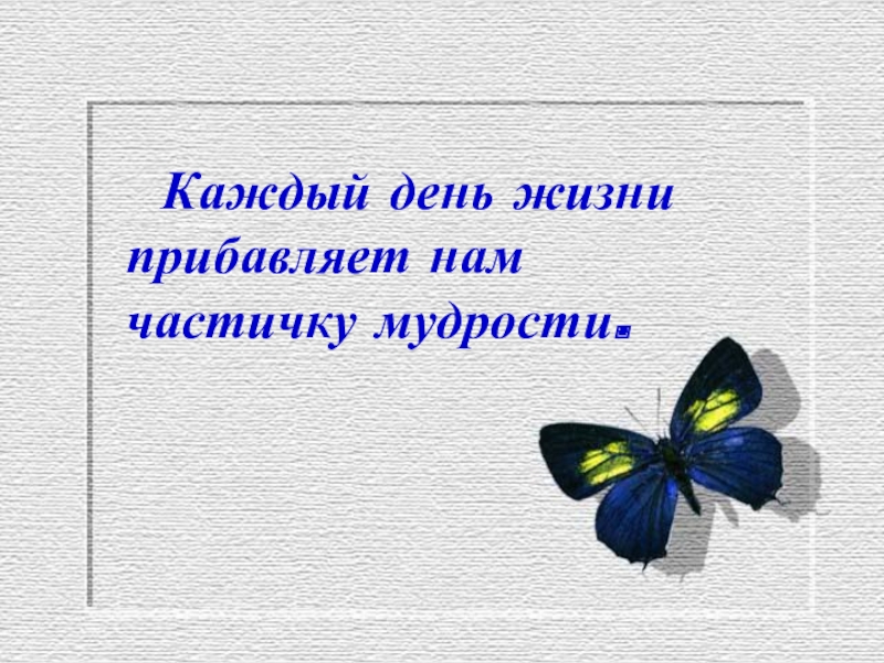 Каждый день прибавляет. Каждый день жизни прибавляет нам частичку мудрости. Каждый жизнь день частичку мудрость. Каждый день жизни прибавляет частицу мудрости. Пословица каждый день жизни прибавляет частичку.