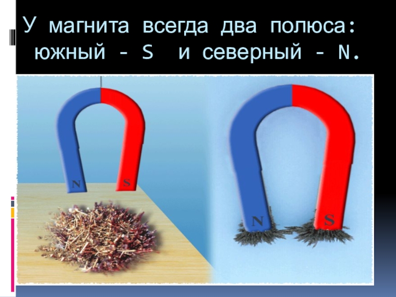 Этого всегда два. Два полюса магнита. Магнитная сила. Сила магнита. Рисунки на тему магнитная сила.