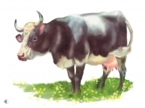 Презентация. Домашние животные, с аудио.