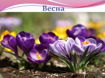 Презентация по окружающему миру для начальной школы на тему Растения и животные весной