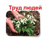 Презентация по окружающему миру на тему Труд людей весной
