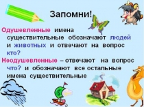 Презентация по русскому языку в сш №189 на тему Имена существительные