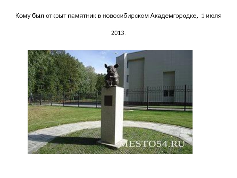 Кому был открыт памятник в новосибирском Академгородке, 1 июля 2013.  