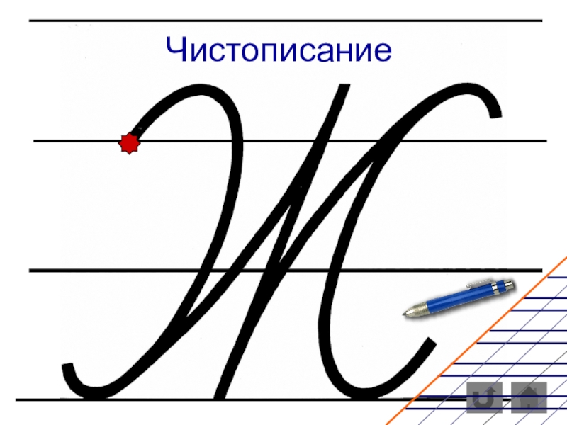 Презентация по русскому языку на тему Орфограммы слабых позиций (2 класс)