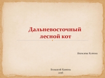 Животные Красной книги Приморского края. Дикий кот.