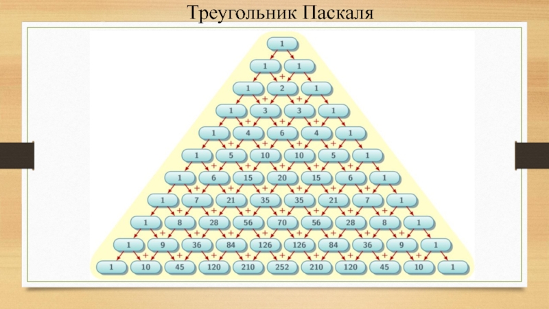 Треугольник паскаля проект