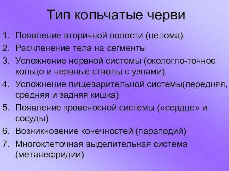 Характеристика кольчатых. Ароморфозы кольчатыхьчервей. Основные ароморфозы кольчатых червей. Араморфоза кольчатых червей. Ароморфозы кольчатых червей таблица.