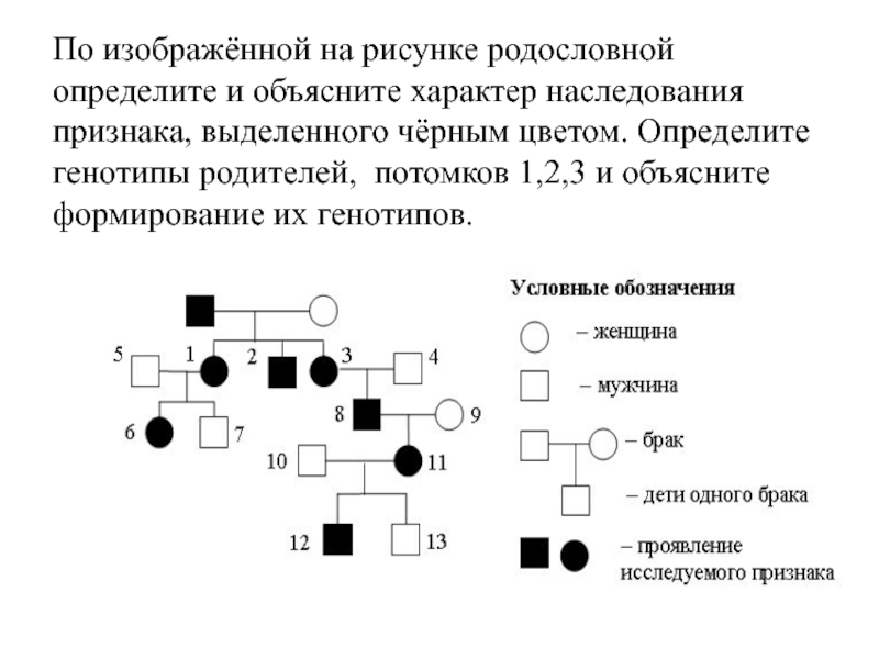 По изображенной на схеме родословной человека определите вероятность в процентах рождения ребенка