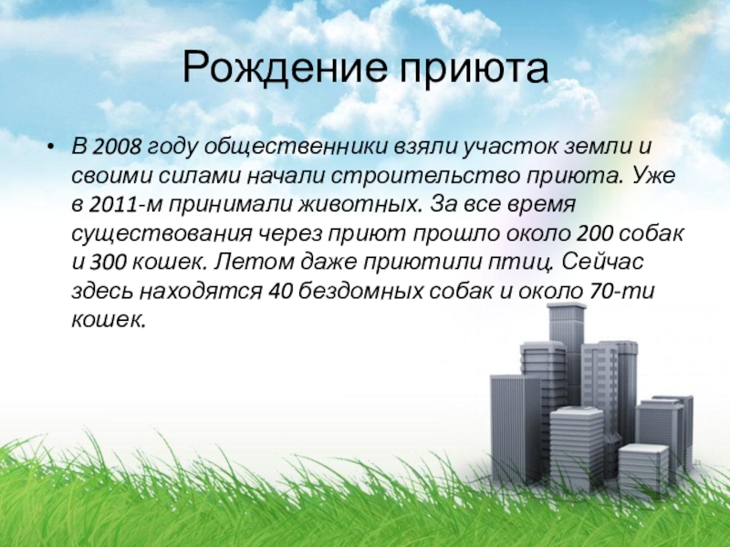 Рождение приютаВ 2008 году общественники взяли участок земли и своими силами начали строительство приюта. Уже в 2011-м