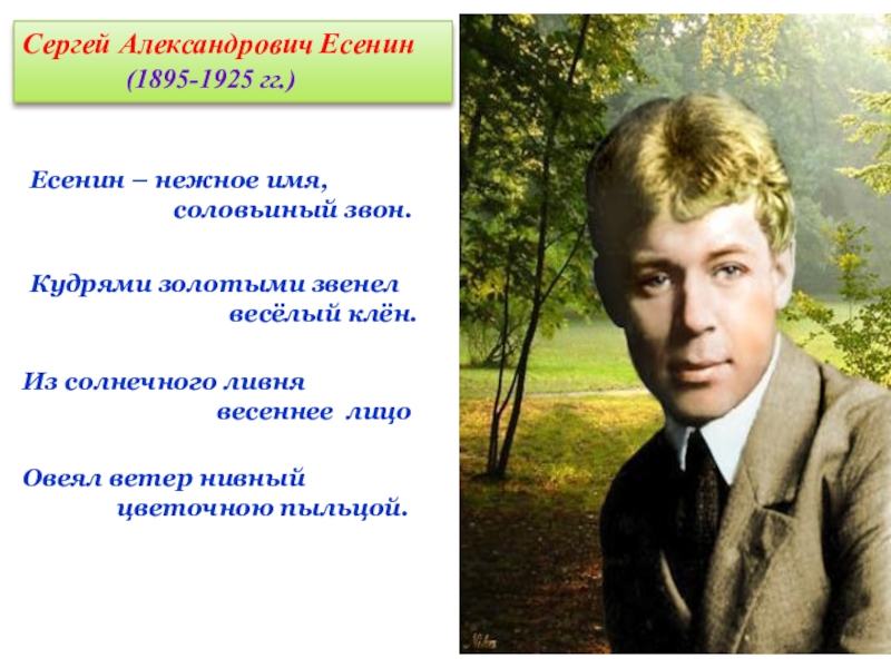 Презентация стихи есенина. С. А. Есенин (1895–1925).