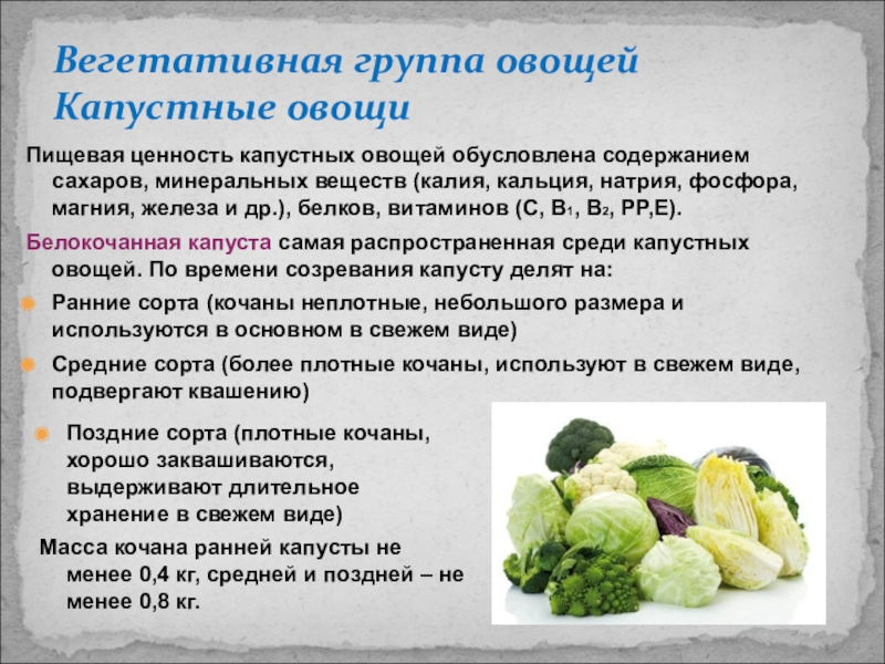 Капустные овощи таблица. Характеристика капустных овощей. Капустные овощи Товароведение. Кальций в капусте белокочанной. Общая характеристика капустных овощей.