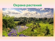 Презентация к уроку географии в 9 классе на тему Красная книга Псковской области