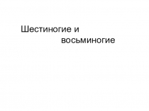 Презентация о насекомых и пауках