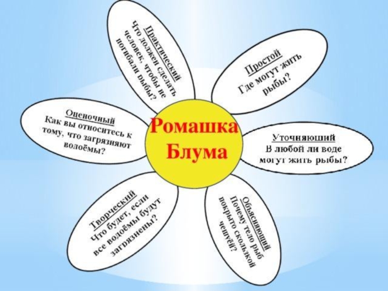 Ромашка блума картинка