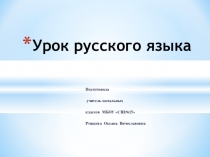 Презентация по русскому языку на тему Мягкий знак на конце существительных после шипящих
