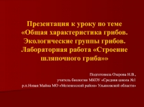 Урок по биологии на тему: Грибы ФГОС