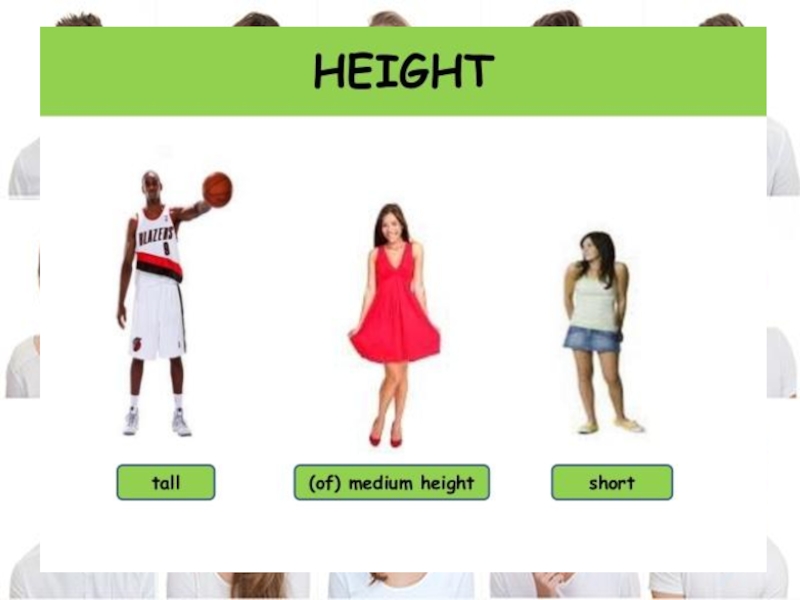 Height перевод. Short рост. Medium height. Tall short Medium height. Рост человека на английском.