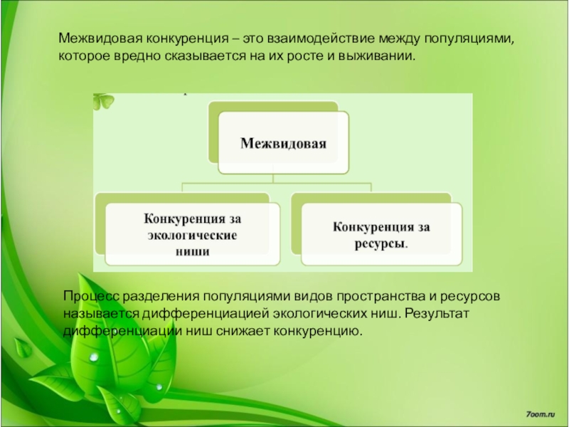 Конкурентные взаимодействия презентация 11 класс по биологии