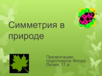 Презентация по геометрии на тему Симметрия в природе (11 класс)