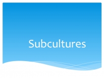 Презентация по английскому языку на тему  Subcultures 10 класс.