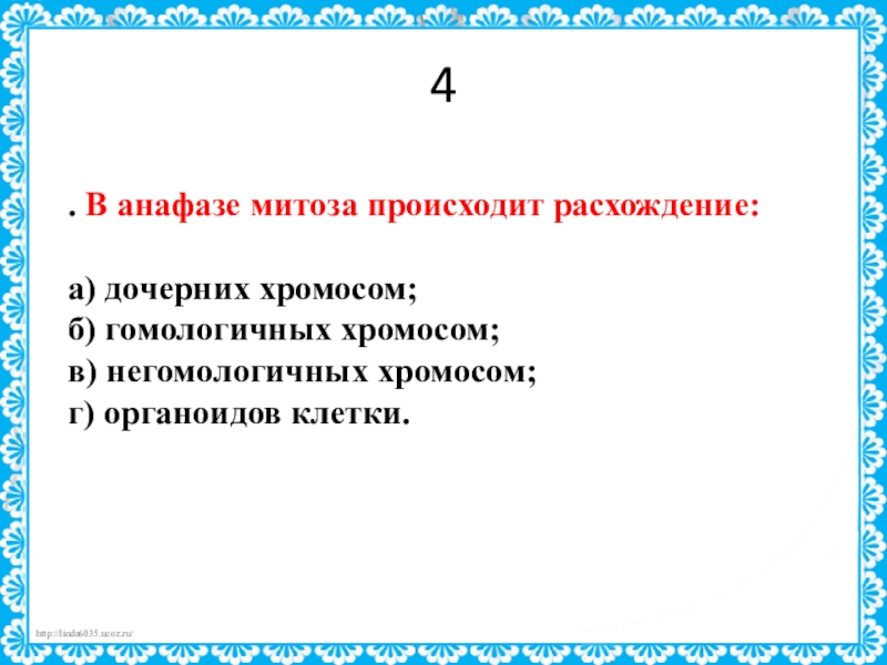 В процессе анафазы происходит. В анафазе митоза происходит расхождение. В анафазе митоза происходит. В анафазе митоза происходит расхождение дочерних хромосом. Что происходит в анафазе.