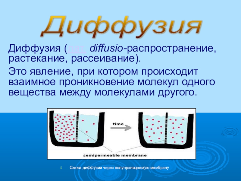 Осмос биология клетки. Диффузия это в физике кратко. Облегченная диффузия направление транспорта. Диффузия зоны. Структура паяного соединения.