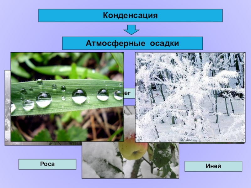 Конденсация это. Конденсация. Атмосферные осадки роса. Вода в природе атмосферные осадки. Иней атмосферные осадки.