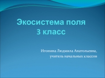 Презентация по окружающему миру на тему Поле