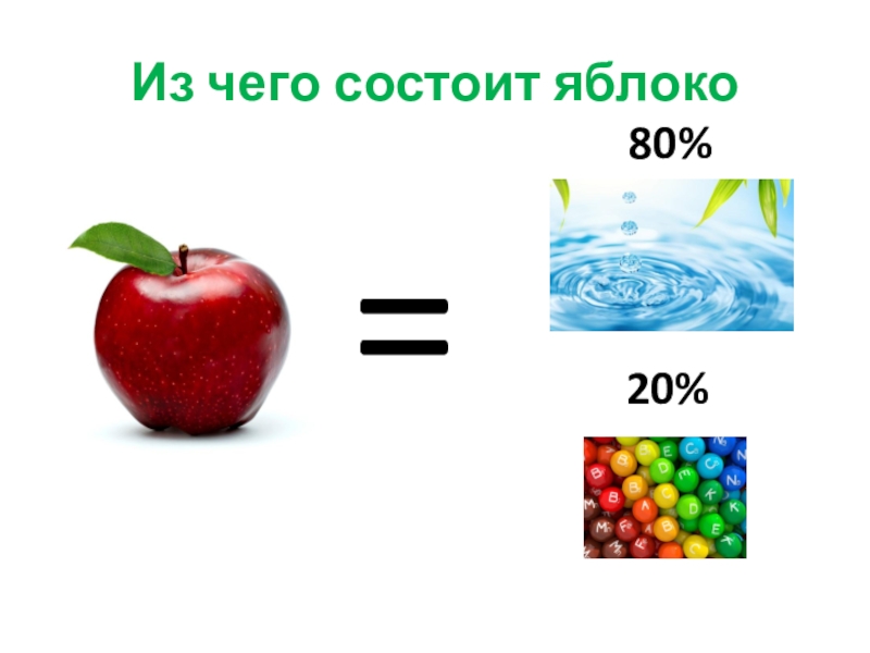 Из чего состоит яблоко. Из чего состоит яблокт. Из чего состоит яблоня. Интересные факты о яблоках.