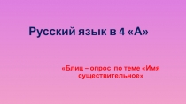 Презентация по русскому языку на тему Блиц – опрос по теме Имя существительное
