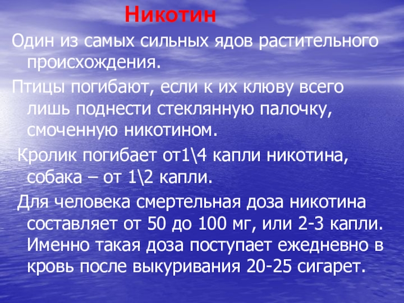 Сильный яд. Яды растительного происхождения. Никотин самый сильный яд. Смертельная доза никотина для собаки. Смертельные дозы для человека список.