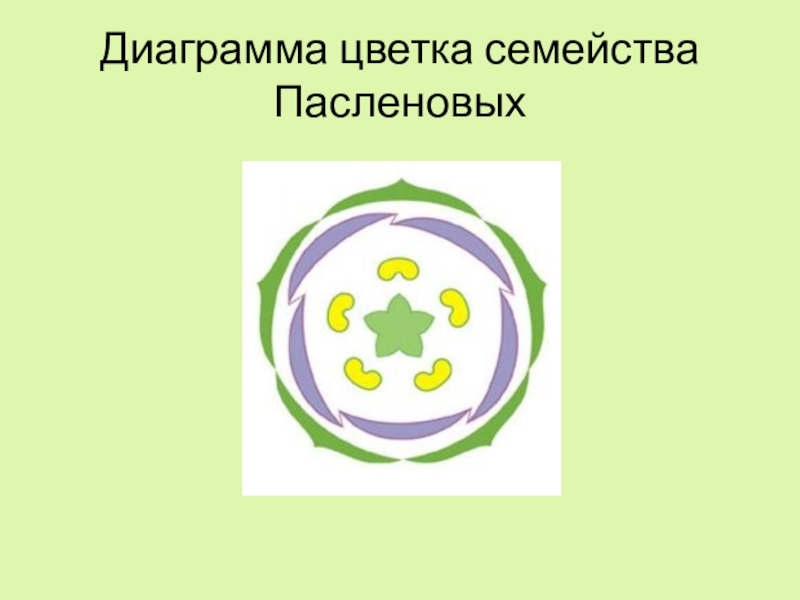 Схема цветка семейства пасленовых