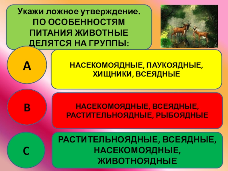 какие утверждения об антициклонах являются верными. какие утверждения ложные 144. какие утверждения ложны. утверждение ложное это какое число. животные делятся на группы.