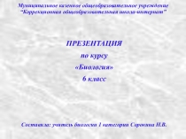 Презентация по биологии Лед- твердое тело ( 6 класс, школа VIII вида)
