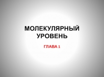 Презентация к уроку биологии в 9 классе МОЛЕКУЛЯРНЫЙ УРОВЕНЬ