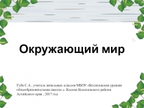 Презентация по окружающему миру на темуЛесные опасности