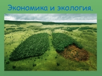 Презентация по окружающему миру на тему Экономика и экология