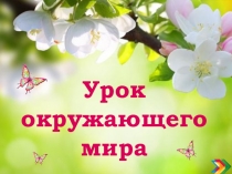 Презентация к уроку окружающего мира 2 класс по теме В гости к весне