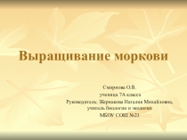 Презентация исследовательской работы Выращивание моркови