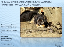 Презентация к исследовательской работе Бездомные животные как одна из проблем городской среды