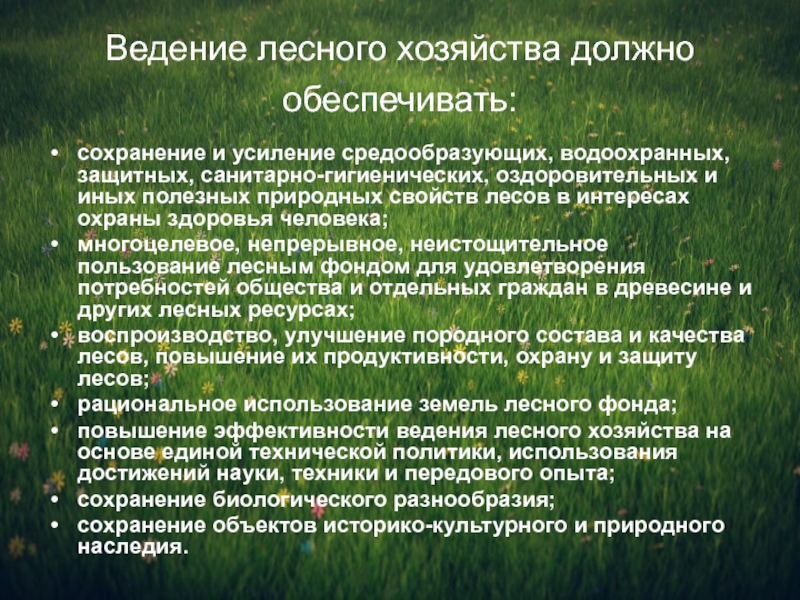 Лесные ресурсы презентация