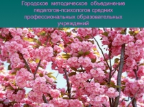 Презентация по психологии Знакомство с психологом