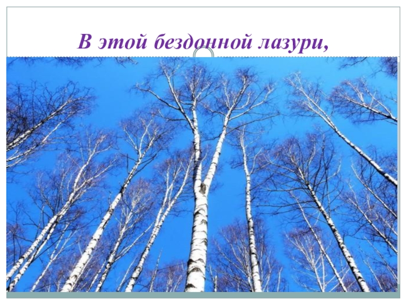 Ветер принес издалека тема. В этой бездонной лазури. Ветер принес издалека. Бездонная лазурь. Стихотворение ветер принем из далека.